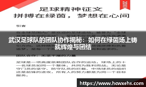 武汉足球队的团队协作揭秘：如何在绿茵场上铸就辉煌与团结